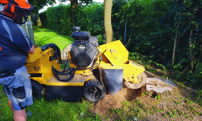 Stockfräsen Grundstück & Garten